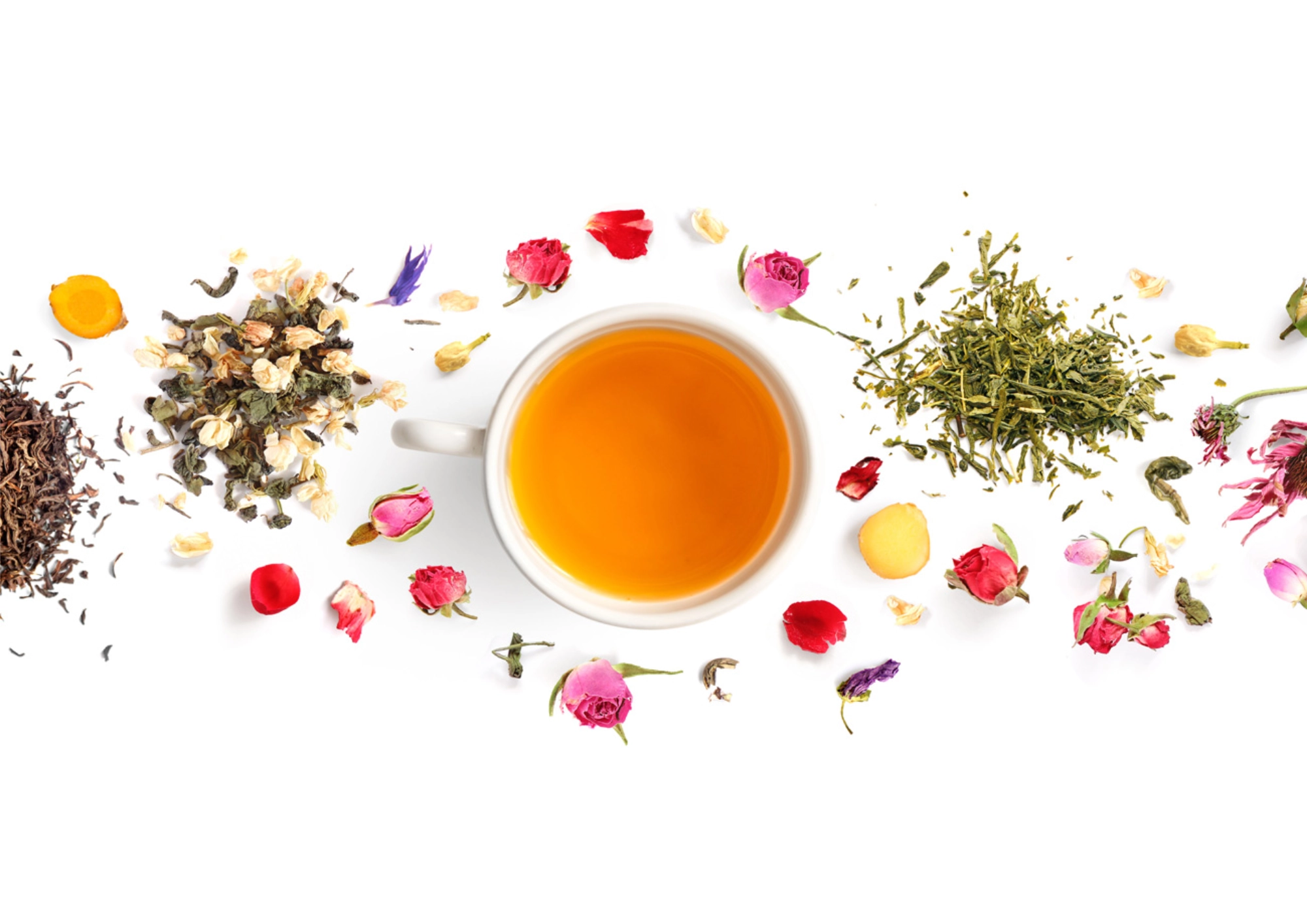 Weiße Tasse mit gelborangem Tee, darum herum liegen getrocknete Blätter und Blüten auf einem weißen Hintergrund